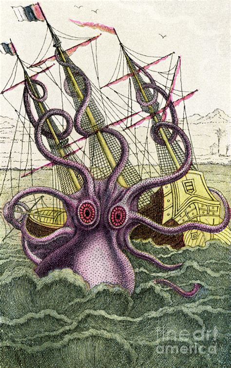 Kraken sea monster attacks a ship Drawing by Mary Evans Picture Library - Fine Art America