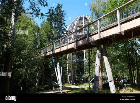 The world´s longest tree top walk - Tree Tower - Bavarian Forest ...