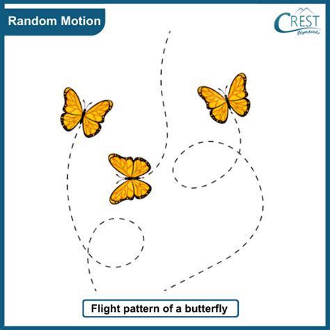 Motion and Its Types Class 7 Notes | Science Olympiad