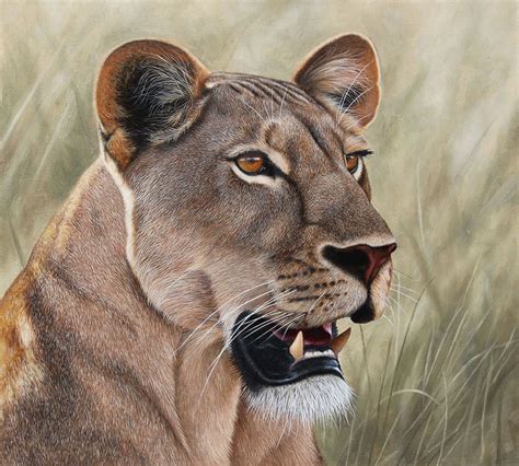 Lioness. Oil on panel by painterman33 on @DeviantArt | Wildlife art, Big cats art, Wildlife ...