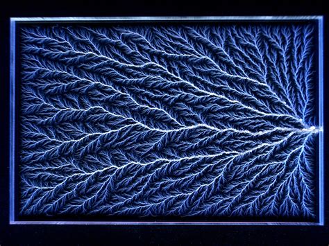 4" x 6" x 1/2" Captured Lightning Vertical Tree Lichtenberg Figure ...