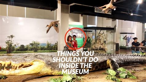 Lolong, Biggest Crocodile in the World - National Museum. - YouTube