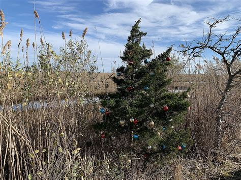 The Christmas Tree on the Bay is Back in Little Egg Harbor