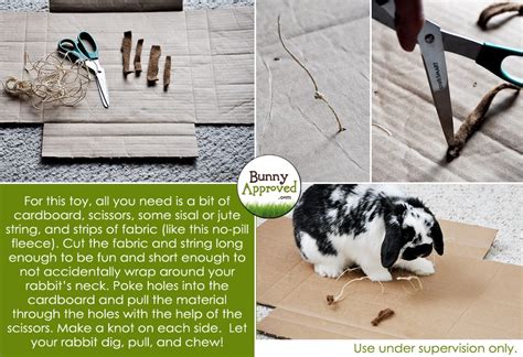 DIY Rabbit Toy Ideas Bunny Approved House Rabbit Toys, Snacks, And ...