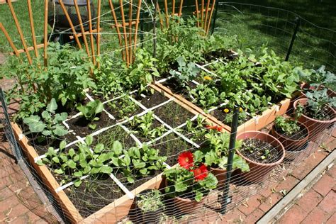 Beginner Square Foot Gardening Layout Plans