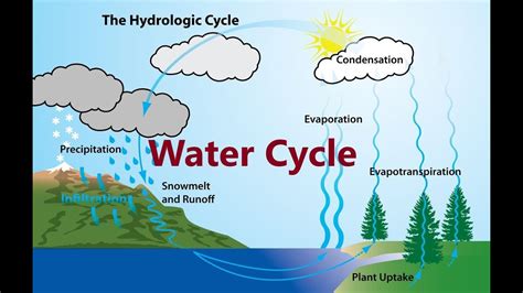 WATER CYCLE | EVAPORATION | TRANSPIRATION | CONDENSATION ...