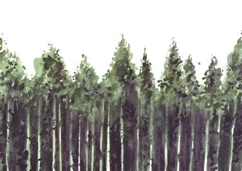 Premium Vector | Pine tree forest watercolor