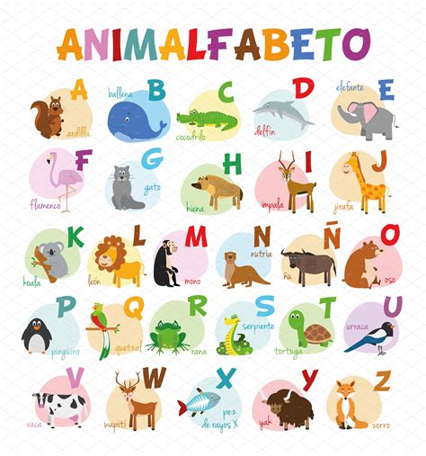 Spanish animal alphabet Vector | Animal Illustrations ~ Creative Market