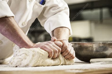 A chef's hands kneading bread dough - Stock Image - F021/8742 - Science ...