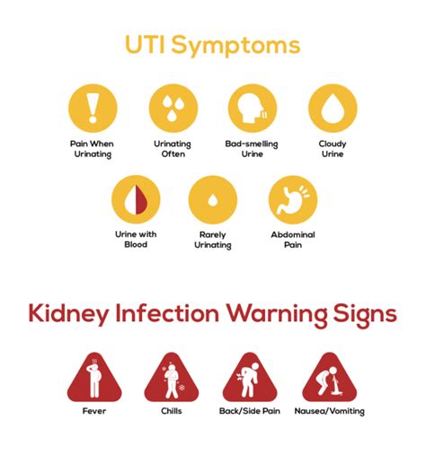 Kidney infections treatment - Philadelphia Holistic Clinic - Dr. Tsan ...