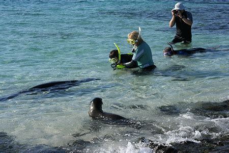 Best Places for Snorkeling in the Galapagos Islands by Galapagos Insiders