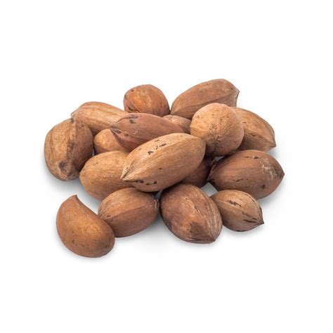 Pecans, Natural Polished - Nuts - Wholesale - Bulk - Nutsite