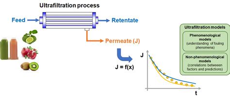 Membranes | Free Full-Text | Prediction of Permeate Flux in ...