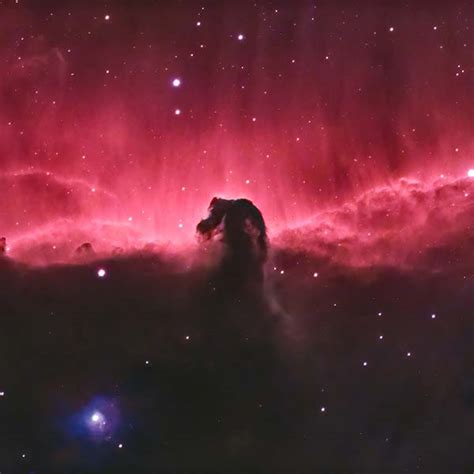 The Horsehead Nebula (& Flame Nebula) Astrophotography, Facts & More