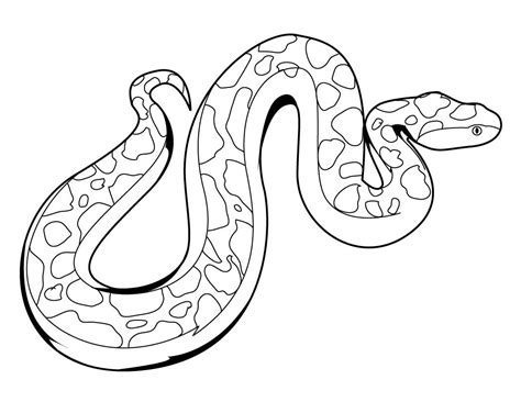 Anaconda Drawing at GetDrawings | Free download