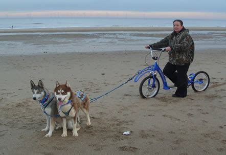 Pawtrekker Dog Scooters Videos and Photos, see the scooters in Action