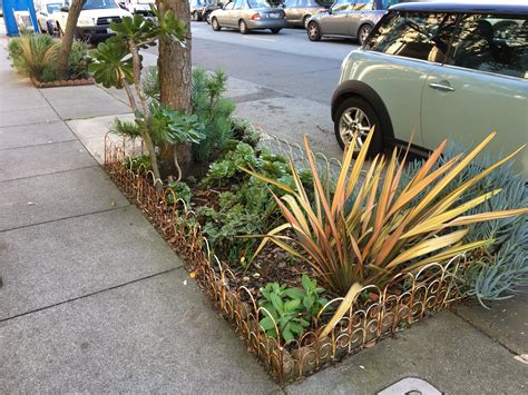 Sidewalk Gardens — Garden for the Environment