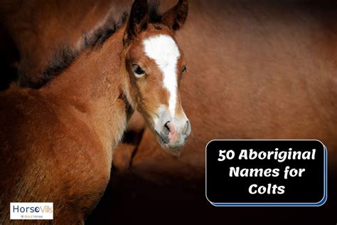 400 Lovely Baby Horse Names for Your Colt & Filly