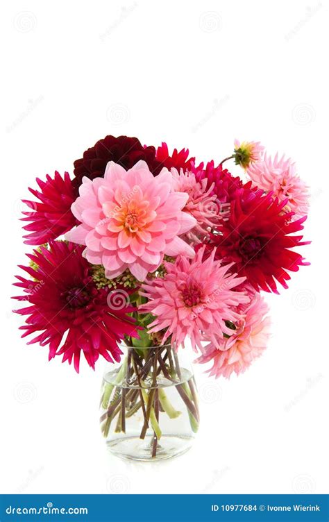 Bouquet of Dahlias stock photo. Image of dahlias, garden - 10977684