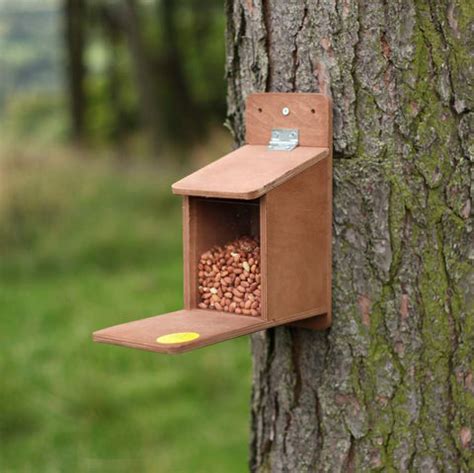 Red Squirrel Nest Box | The Nestbox Company