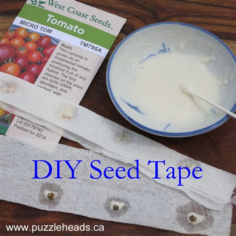 DIY Seed Tape in 5 Easy Steps - Puzzleheads Educational Products