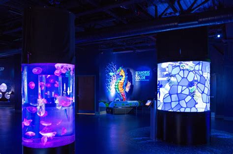 Greensboro Science Center Aquarium Expansion | Lindsey Architecture | Archinect | Science center ...