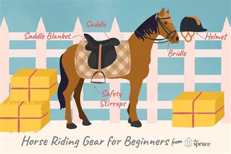 Basic Equipment You Need for Your First Horse