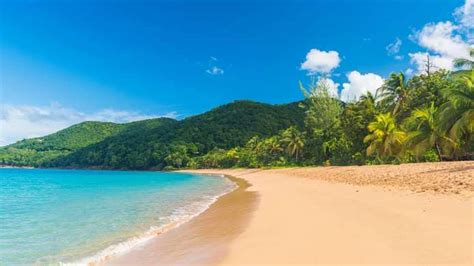 The Top 14 Guadeloupe beaches | Costa Cruises