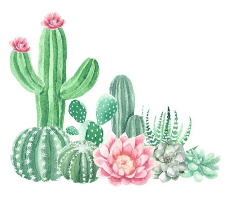 Royalty Free Watercolor Flowers And Cactus Wreath Clip Art, Vector ...