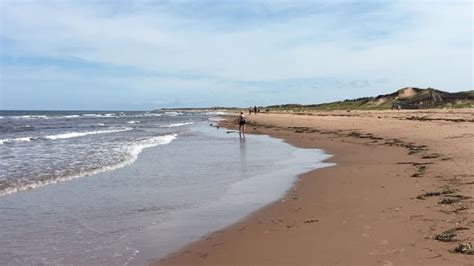 North Shore firefighters, EMS rescue man from Brackley Beach | CBC News