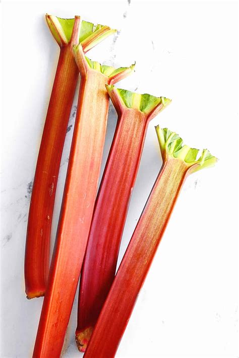 Rhubarb: everything you need to know | Rhubarbarians