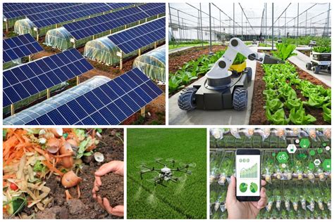 Here's how to mobilise climate-smart agriculture finance | World ...