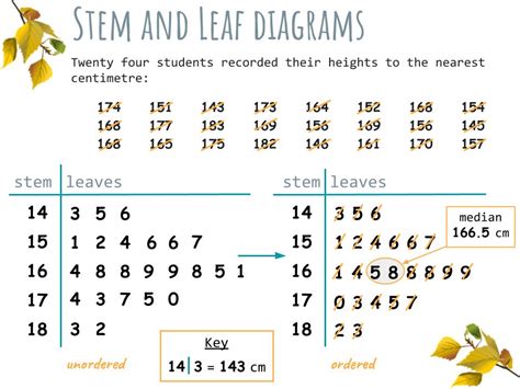 Stem And Leaf Diagram Worksheet Corbettmaths - kidsworksheetfun