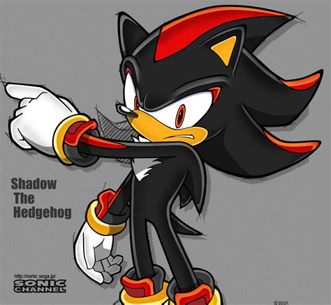 Shadow The Hedgehog by daggerslashs on DeviantArt