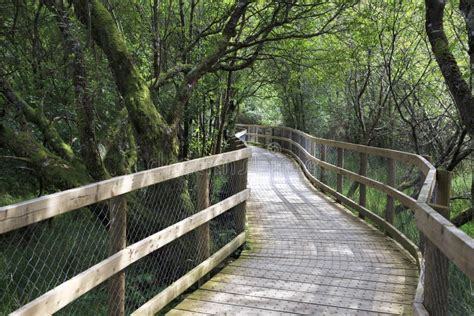 Walking Trails in Wicklow Mountains National Park. Stock Photo - Image ...