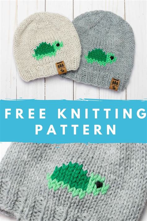 Turtle hat free knitting pattern whole family – Artofit