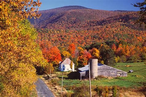 Best Mount Greylock State Reservation Stock Photos, Pictures & Royalty ...