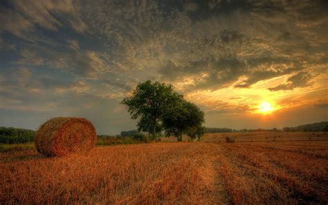 Wallpaper tree, sunset, clouds, field, hay, Bales of hay. | Пейзажи ...