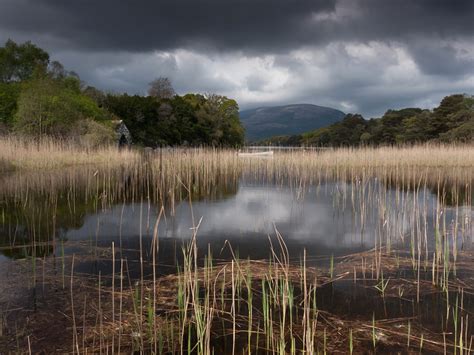 Muckross Lake, Ireland