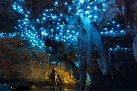 Glow Worm Cave New Zealand : Waitomo Glowworm Caves New Zealand - XciteFun.net : The waitomo ...