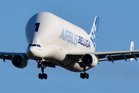 Airbus A300-600 (Beluga): Photos, History, Specification