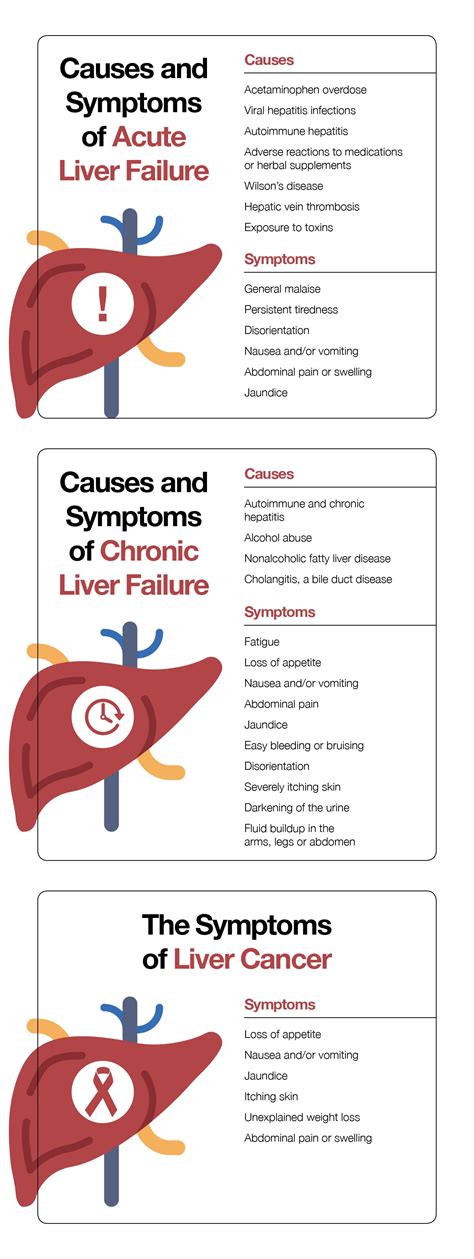 Liver Failure Death: Causes, Symptoms and Stages – The Amino Company