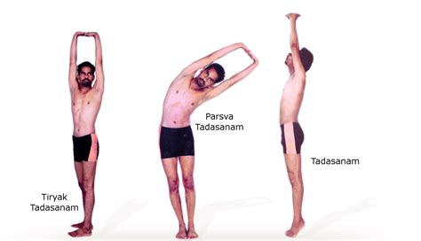 Tadasana - Vydya Health - Find Providers, Products.