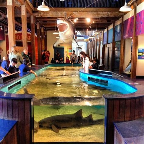 "Nice morning at @The Maritime Aquarium at Norwalk in Norwalk, CT ...