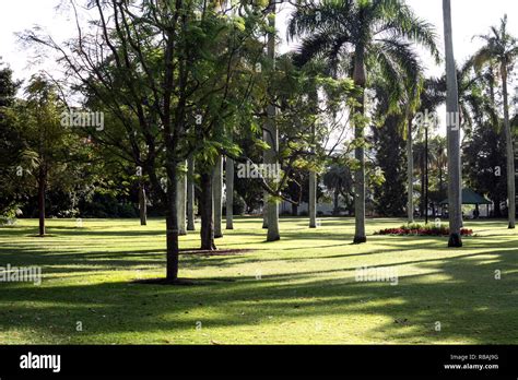 City Botanic Gardens, Brisbane, Queensland, Australia Stock Photo - Alamy