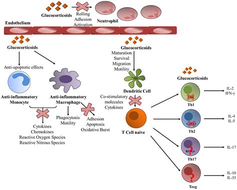 Inflammation Allergy Drug Targets Discontinued