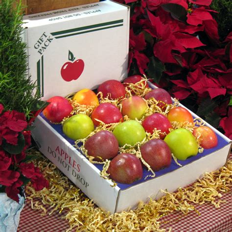 Apple Gift Box - 16 Count - Weavers Orchard