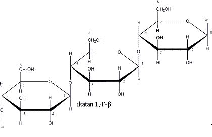 Struktur selulosa dalam sel tumbuhan | XCH Blog