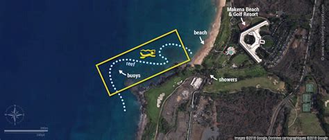 Snorkeling with sea turtles in Turtle Town, Maui | Snorkeling in Hawaii