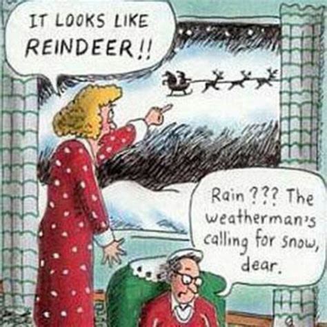 Funny Quotes About Reindeer. QuotesGram